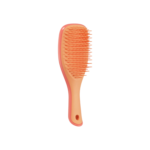 Расческа TANGLE TEEZER The Wet Detangler SMALL MINI Salmon Pink & Apricot 6006_072 фото