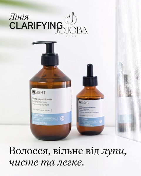 Шампунь INSIGHT ANTI-DANDRUFF CLARIFYING Очищающий от перхоти 400 мл 1065 фото