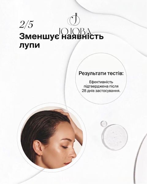Шампунь INSIGHT ANTI-DANDRUFF CLARIFYING Очищающий от перхоти 400 мл 1065 фото