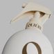 Спрей-маска OLIERE PARIS Color EClat для захисту кольору для фарбованого волосся 300 мл 10198 фото 2